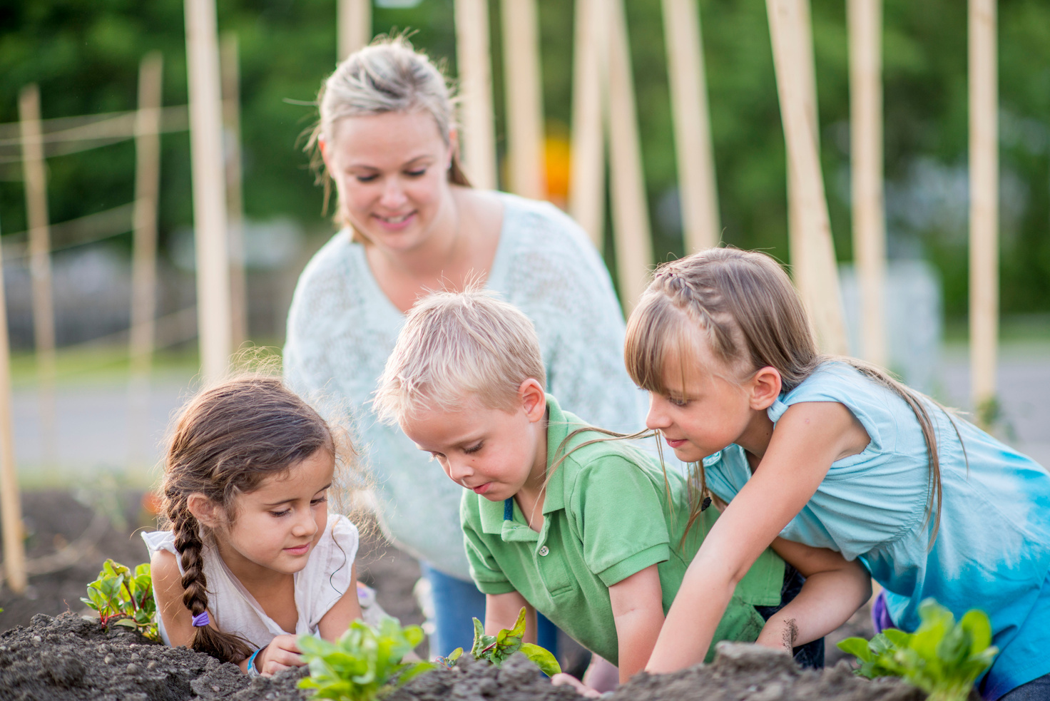 Community Gardening